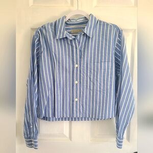 Everlane Blue and White Striped Button Down Shirt
